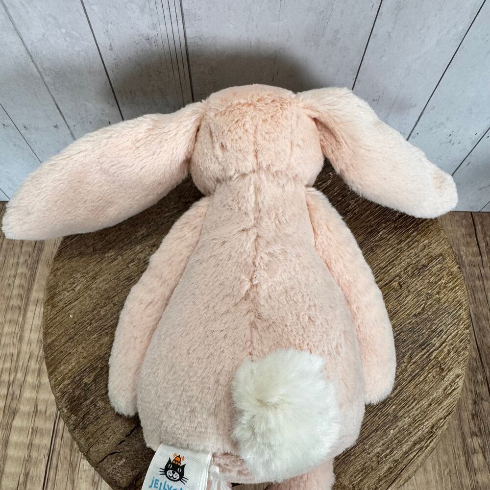 Bundle Set of 2 Jellycat Larry Lobster Small Blush Bunny Cherry NEW! Authentic - Picture 11 of 12
